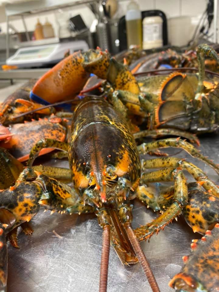 Homards en cuisine